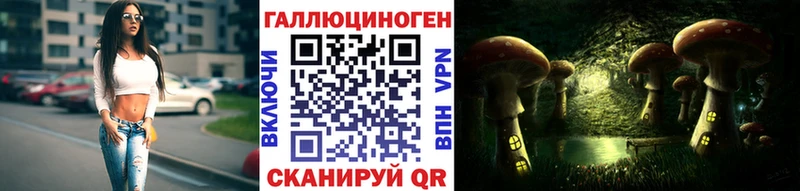 Галлюциногенные грибы Psilocybe  Карасук 