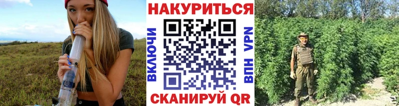 Бошки Шишки THC 21%  Карасук 